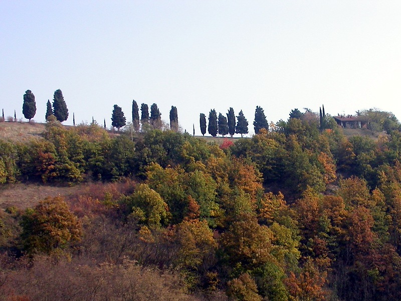 Autumn in Spipola