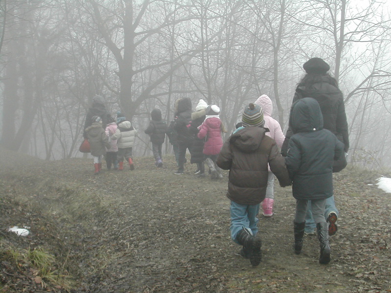 Nel bosco d'inverno